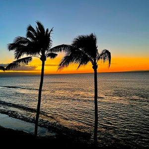 Meet your Posher, SlushVan